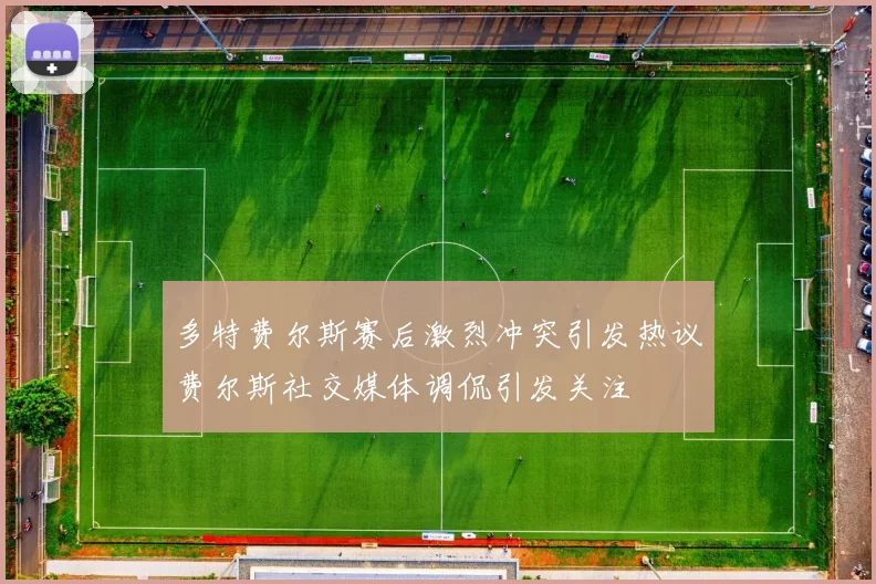 多特费尔斯赛后激烈冲突引发热议费尔斯社交媒体调侃引发关注